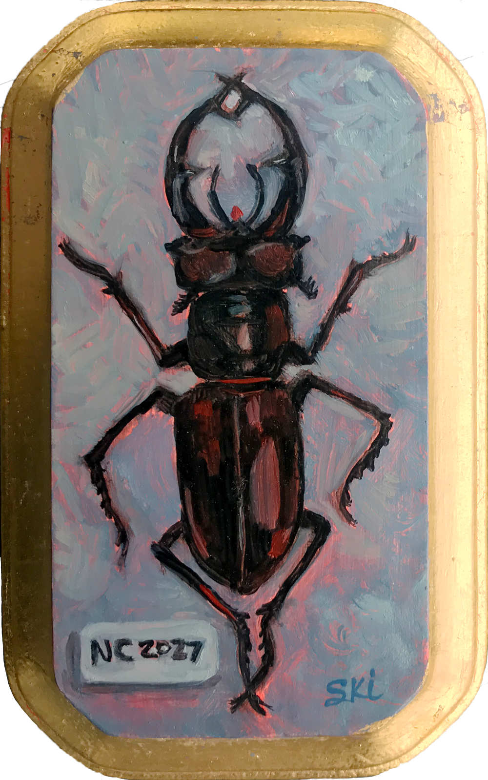Specimen | NC 2027 Stag Beetle