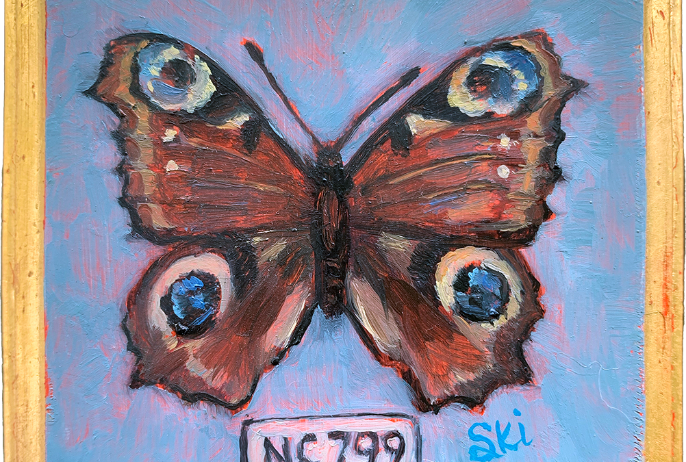 Specimen NC 799 | Peacock Butterfly