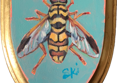 Specimen NC 1553 | Syrphid Fly