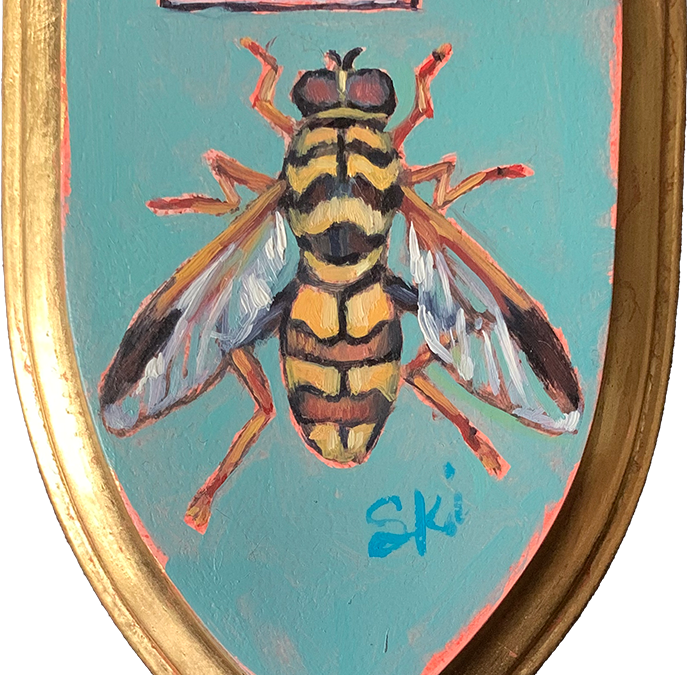Specimen NC 1553 | Syrphid Fly